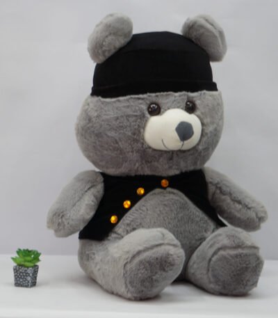 Stylish Cap and jacket Teddy bear